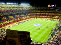 开云下载-开拓者制霸魔术，文班亚马成为关键先生