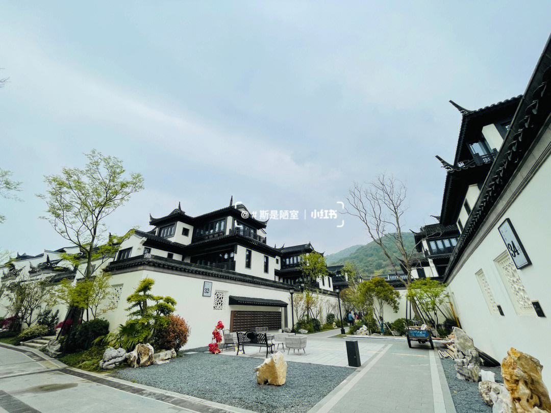 杭州绿城寻找取胜机会，实力备受考验的简单介绍