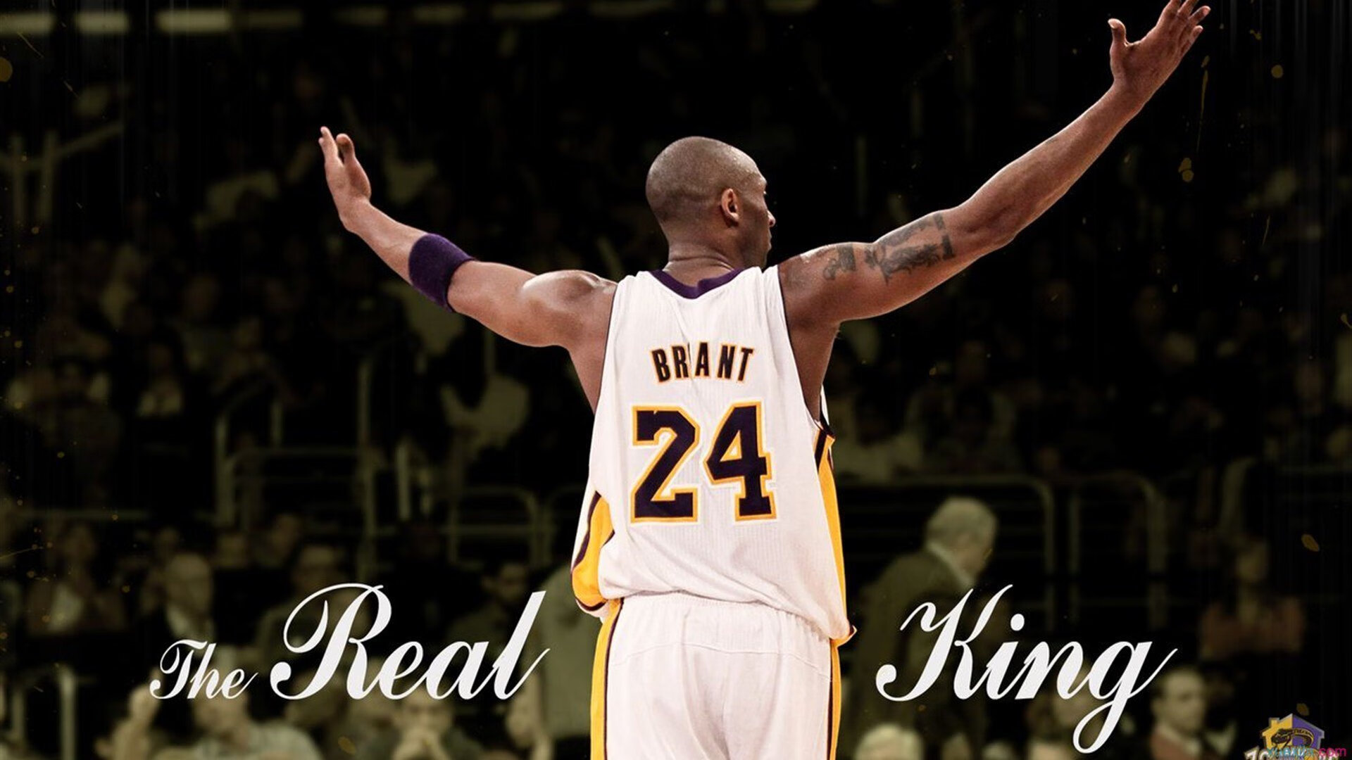 单节风暴定乾坤,里昂闪电战击溃比利时,加克波化身关键先生书写逆转传奇